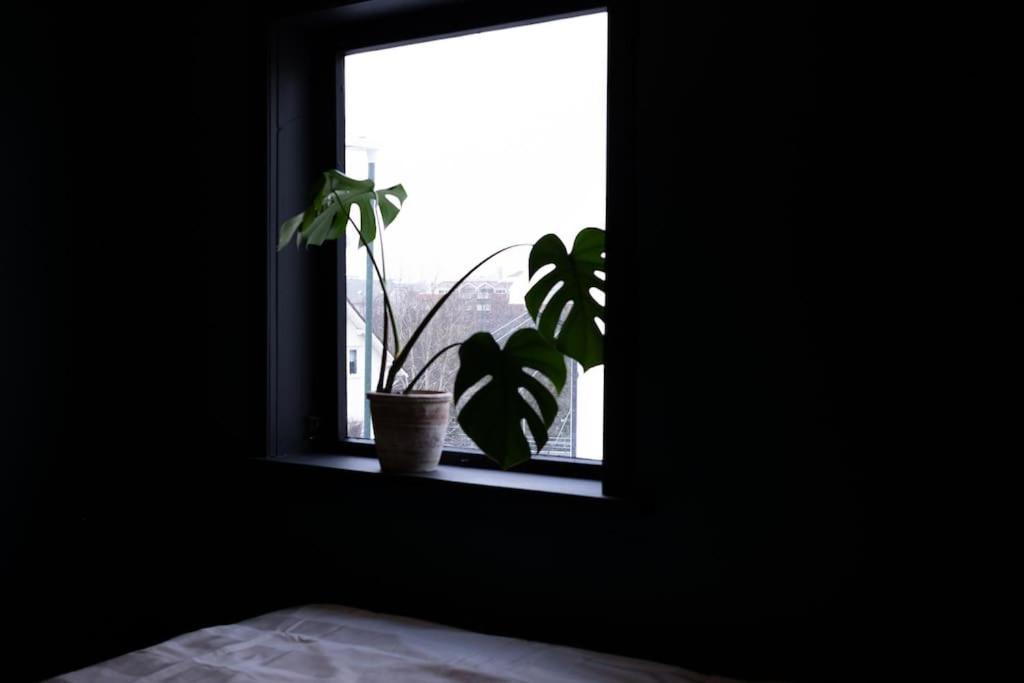 Charming Apartment In Central Stavanger Esterno foto